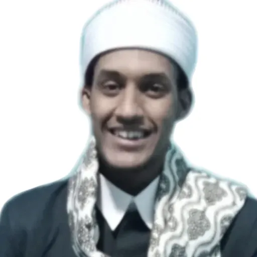 محمد حامد الوشاحي