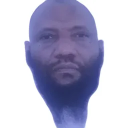 أ.د.علي محمد أبو نائب