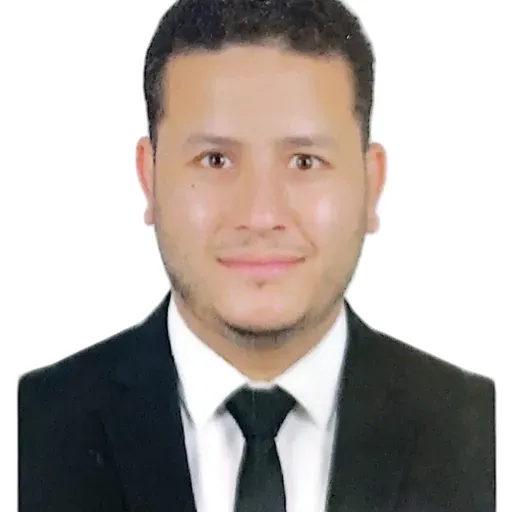 صلاح البلتاجي
