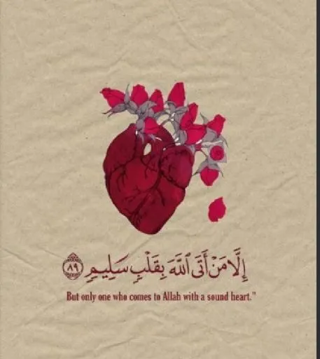 عايدة حسني محمد