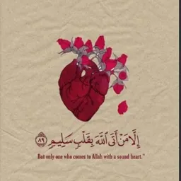 عايدة حسني محمد