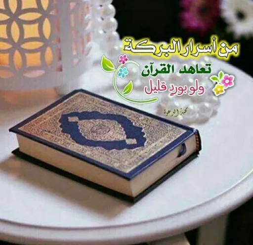 منى لطفي أحمد حسين
