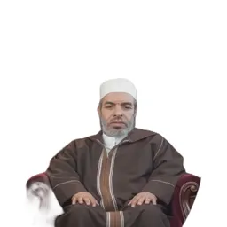 ناصر عبدالله أحمد