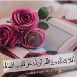 نجاح علي شاذلي علي